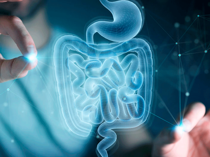 Línea Gastrointestinal